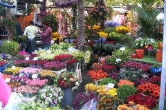 Amsterdam_04_52