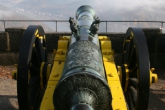 DD_001_231