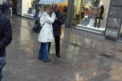 VLUU L310W L313 M310W / Samsung L310W L313 M310W