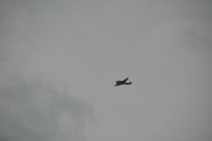 Hamburg_2013_339