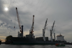 Hamburg_2013_384