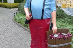 Bruessel_2014_318