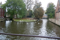 Bruessel_2014_413