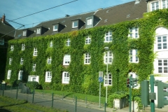 Essen_20170921_105942