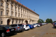 P-33